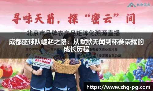 成都篮球队崛起之路：从默默无闻到杯赛荣耀的成长历程